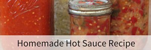 Homemade Hot Sauce Recipe