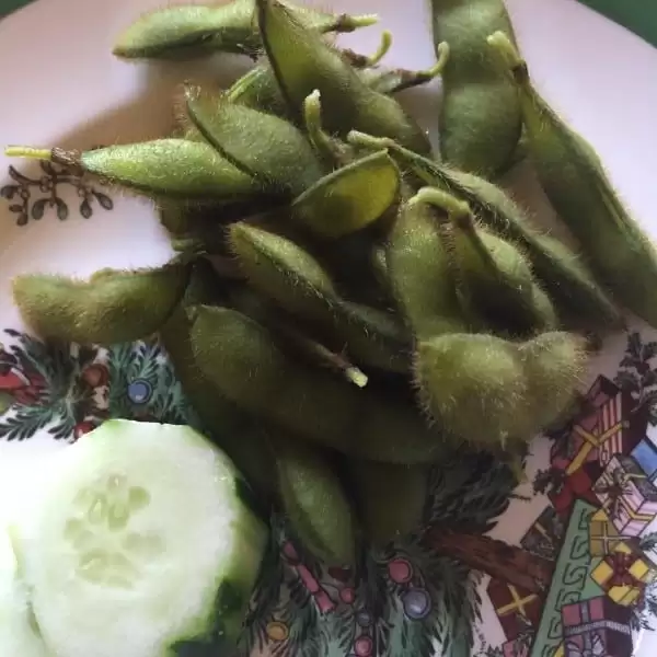 A simple garden-inspired meal of fresh-picked edamame and cucumbers | Homestead Honey