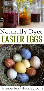 Make your own naturally dyed easter eggs at home with common pantry and fridge ingredients