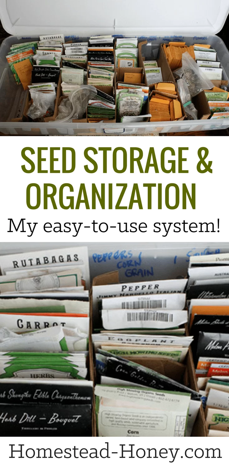 Keep your gardening seeds organized and and stored neatly and safely with this simple seed storage and organization system. | Homestead Honey