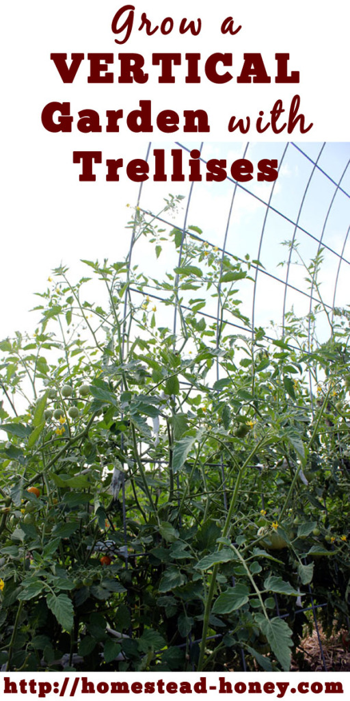 Using Trellises in the Garden