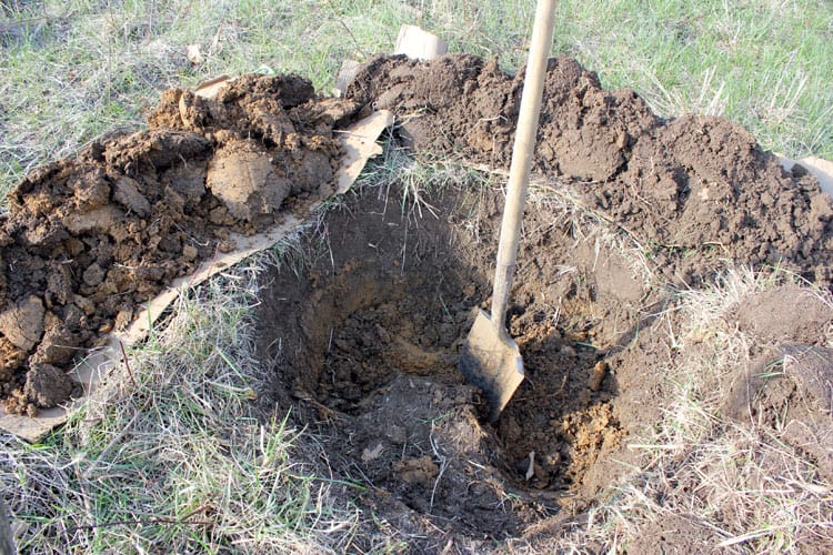 A large hole dug in the dirt with a shovel in it.