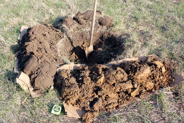 A hole dug in the dirt with a shovel in it, surrounded by cardboard with piled of dirt on top of it.