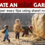 Create an Instant Garden with Sheet Mulching