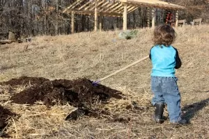 kids help with sheet mulch garden