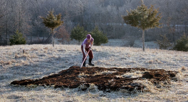 Creating a sheet mulch garden | Homestead Honey