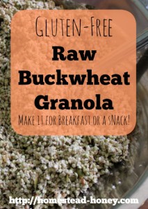 This gluten-free granola recipe is packed with protein for a delicious breakfast or snack | Homestead Honey