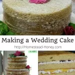Making a Wedding Cake: Part Three – Baking