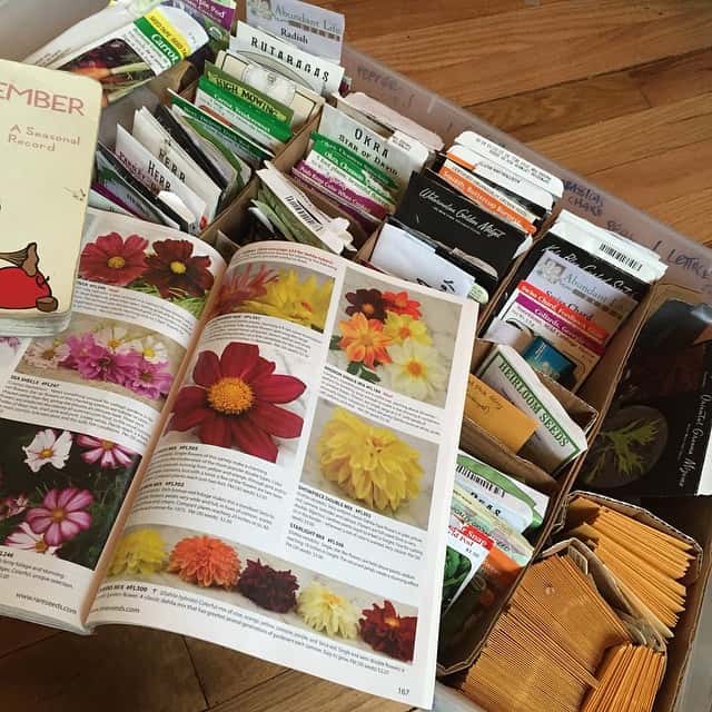 Seed catalog and seed collection is on February's homestead to do list