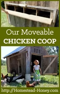 A unique design for a moveable chicken coop for our homestead | Homestead Honey
