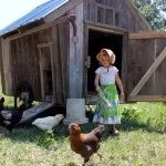 A Moveable Homestead Chicken Coop