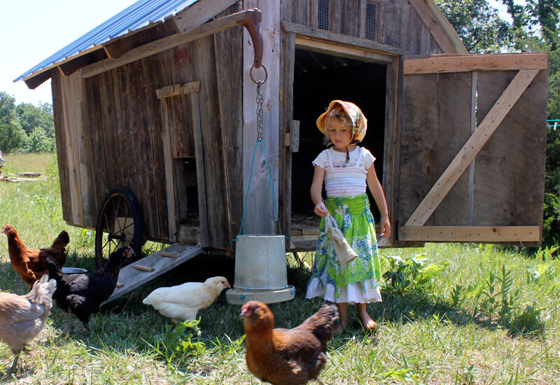 A unique, moveable chicken coop design for our homestead | Homestead Honey