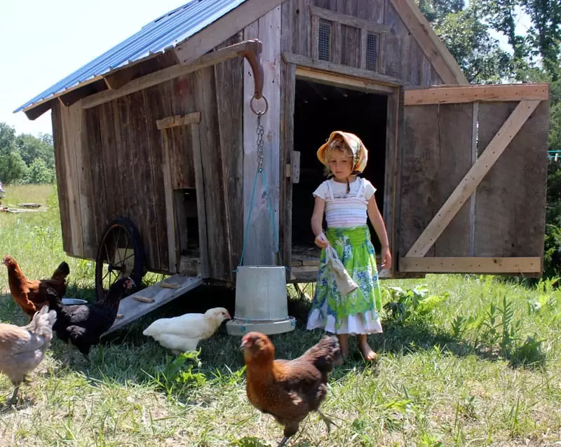 A unique, moveable chicken coop design for our homestead | Homestead Honey