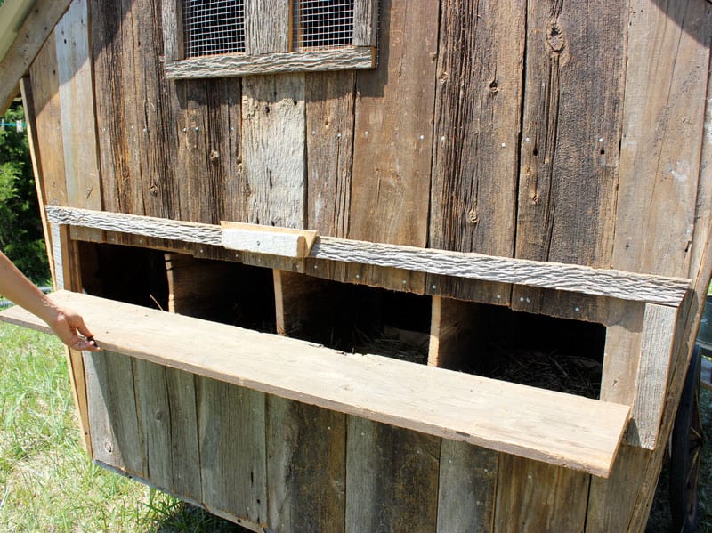Our Moveable Homestead Chicken Coop
