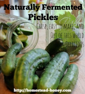 Naturally fermented pickles | Homestead Honey