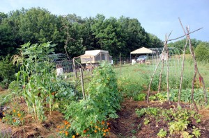 Building Soil with Lasagna Gardening | Homestead Honey