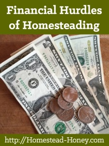 Homesteading can be a great way to live frugally and debt-free. But there are also very real, sometimes very large financial investments to begin homesteading. This post shares some of the financial hurdles to homesteading | Homestead Honey