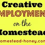 Financial Realities of Homesteading :: Creative Employment