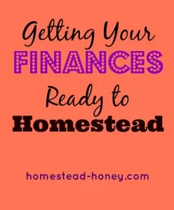 Getting your finances ready to homestead