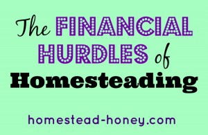 Financial Hurdles of Homesteading