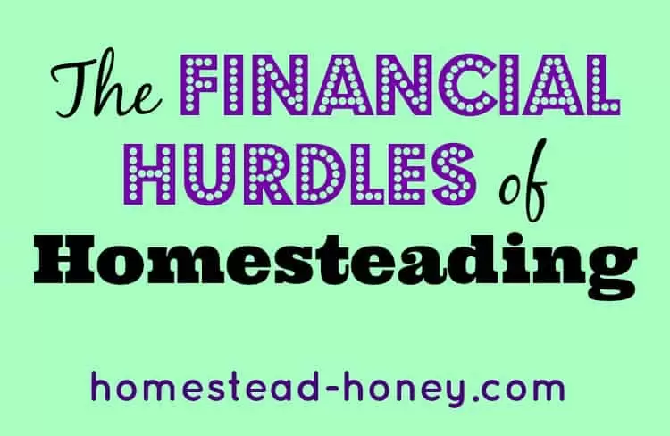 Financial Hurdles of Homesteading