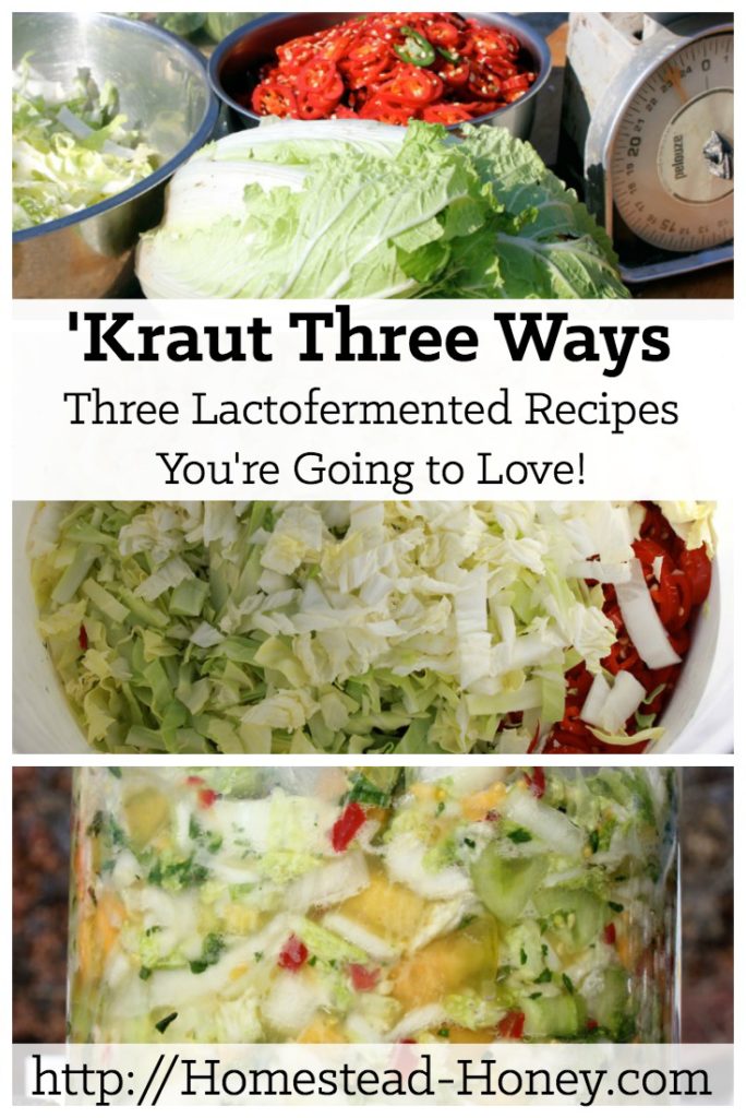 Zesty twists on the traditional sauerkraut, these lacto fermented kraut recipes add intense flavor and live culture probiotics. | Homestead Honey