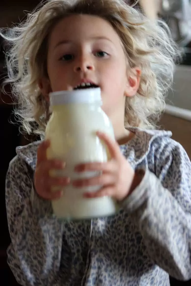 A child vigorously shaking a jar of cream to make butter.