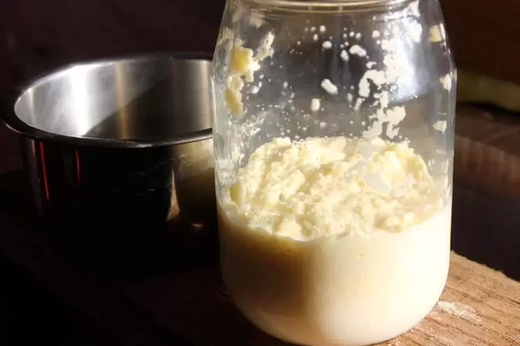 How to make butter in a jar, with kids.