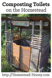 Living off the grid? Interested in trying out a composting toilet? Learn more about the different kinds of composting toilets and the benefit and challenges they could bring to your homestead. | Homestead Honey