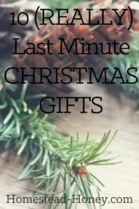 Searching for a last minute christmas gift for a special homesteader? Here are 10 ideas for homemade gifts that can be made in less than an hour, but are still special and meaningful. | Homestead Honey