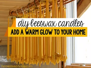 Making beeswax candles at home is fun and easy. Ligthing with beeswax candles adds a warm glow and beautiful scent to your home | Homestead Honey