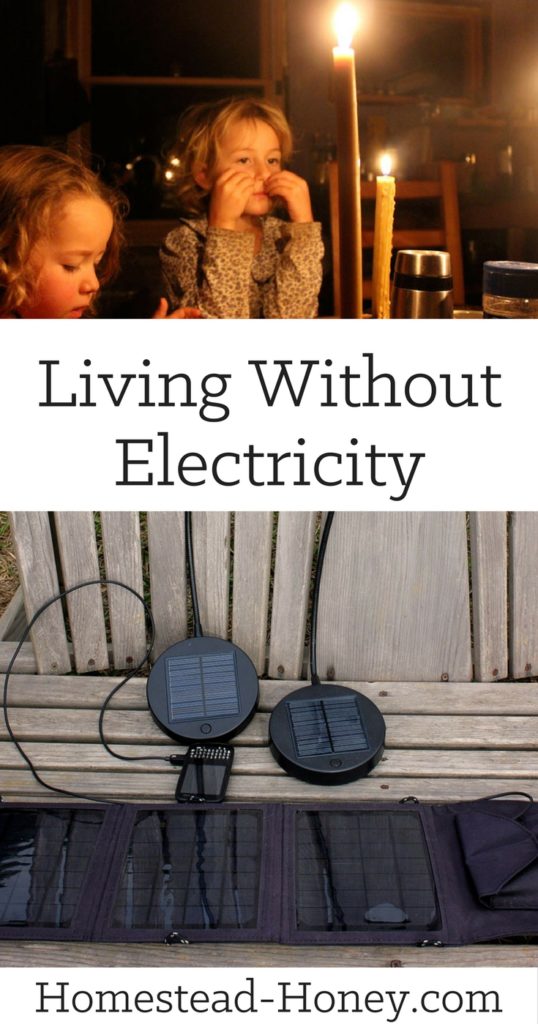 Living Without Electricity Homestead Honey   Living Without Electricity 538x1024 