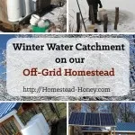 Winter Water on our Off-Grid Homestead