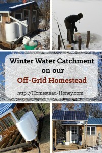 When freezing temperatures hit, how does an off-grid homestead catch water for drinking and cooking? In this post I'll share our experiments, trials, successes, and yes, a few failures! | Homestead Honey