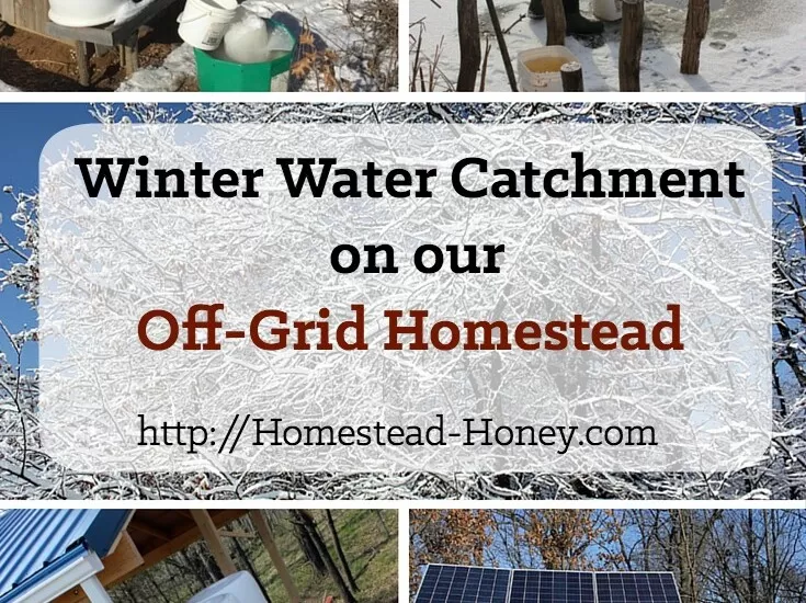 When freezing temperatures hit, how does an off-grid homestead catch water for drinking and cooking? In this post I'll share our experiments, trials, successes, and yes, a few failures! | Homestead Honey
