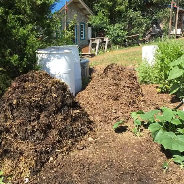 Compost is a great way to add fertility to your garden and improve the health of your soil. | Homestead Honey