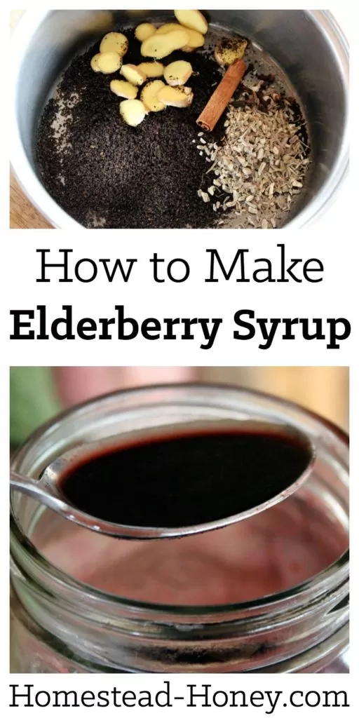 Elderberry Syrup Recipe | Learn how to make a soothing elderberry syrup from elderberry powder or fresh berries, raw honey, ginger and echinacea with this easy tutorial. It has so many health benefits! Drink it to strengthen your immune system and relief symptoms of a cold | Homestead Honey #diy #remedies 