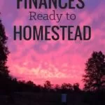 Getting Your Finances Ready to Homestead