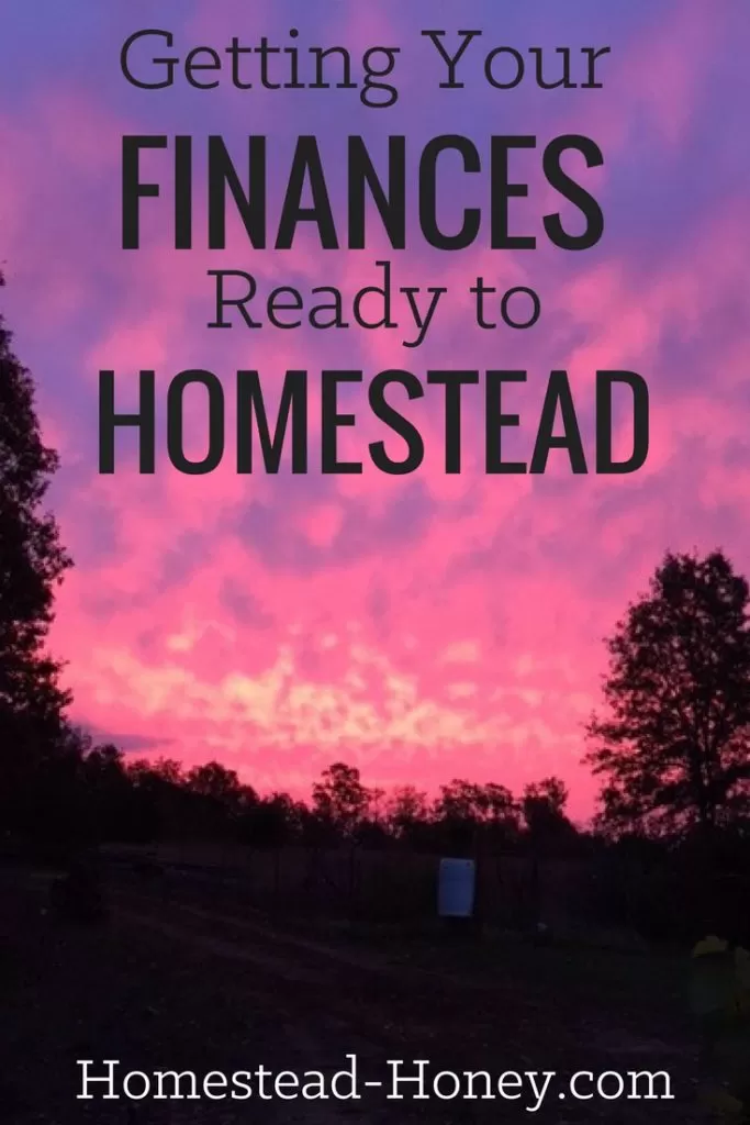 Do you dream of owning land and homesteading but aren't sure if you can afford it? Ariana from Truth Peace Love shares her top tips for getting your finances ready to homestead. | Homestead Honey