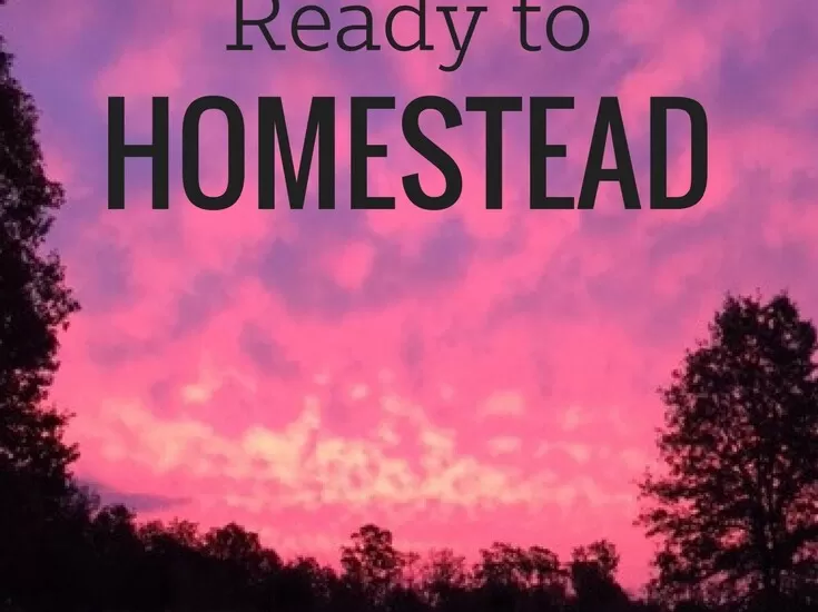 Do you dream of owning land and homesteading but aren't sure if you can afford it? Ariana from Truth Peace Love shares her top tips for getting your finances ready to homestead. | Homestead Honey