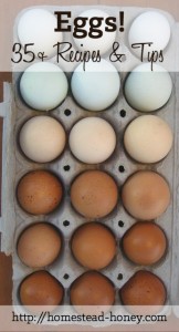 It's spring, and if you're a chicken owner, you probably have eggs coming out the ears! Here are over 35 egg recipes, crafts, and tips to enjoy and celebrate the farm fresh egg! | Homestead Honey