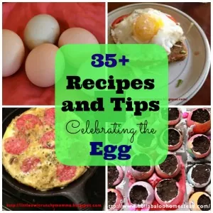 35+ Recipes and Tips to Celebrate the Egg