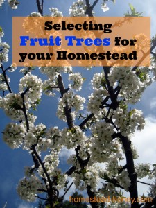 Selecting Fruit Trees for your Homestead