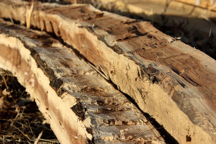 Hand Hewn Logs for Building