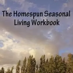 Homespun Seasonal Living workbook