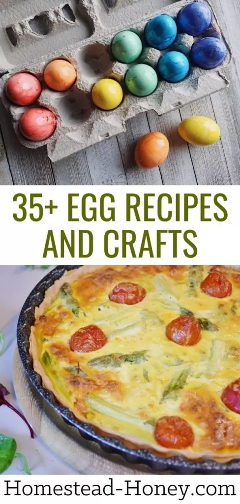egg recipes and crafts