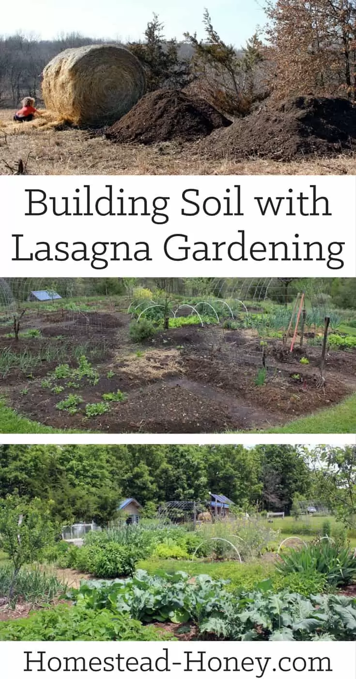 Sheet mulching, or lasagna gardening, is an easy way to build a new garden while building great soil. Plus, you won't disturb the soil! | Homestead Honey