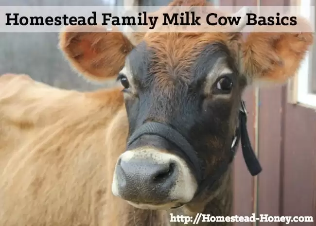 Raw Dairy — Honeymilk Homestead