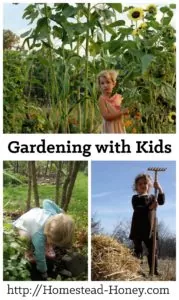 A lifelong love of growing food can start in the garden when kids are very young. Read on for my very best tips on how to make gardening with children a fun and productive experience for all! | Homestead Honey