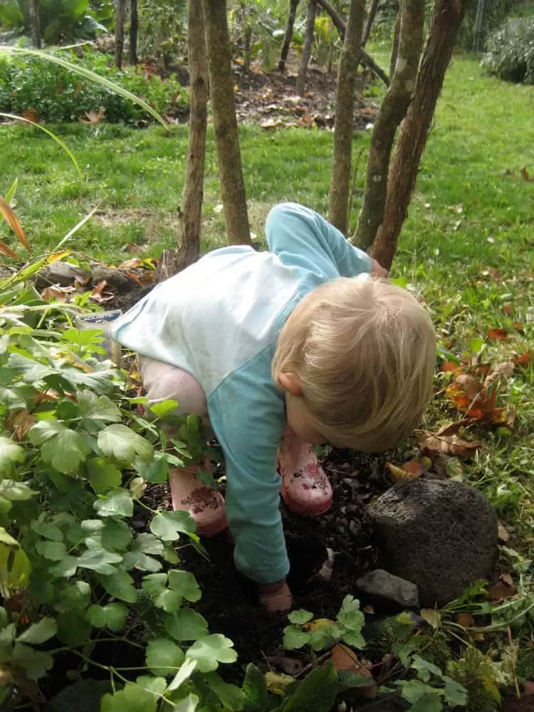 kid planting tulips